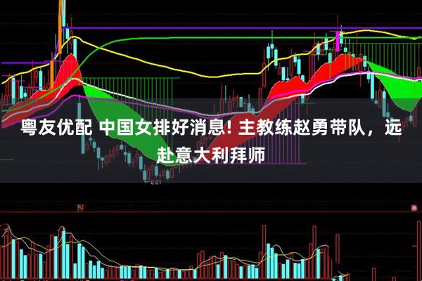 粤友优配 中国女排好消息! 主教练赵勇带队，远赴意大利拜师